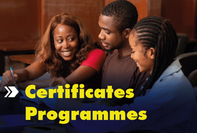 Certificates/Diploma Programmes